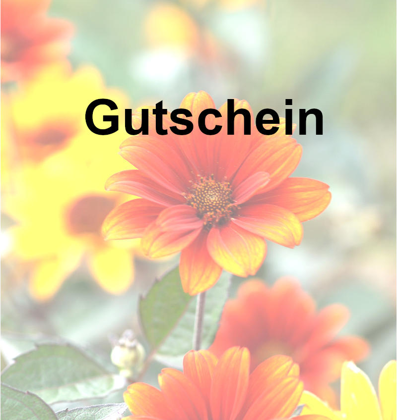 Gutschein zwischen 10 und 500 €